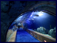 L'Oceanogràfic Oceanarium - underwater tunnel